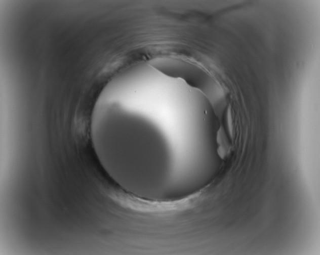 X0000086780031200704271819