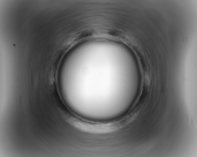 X0000086780032200704271819