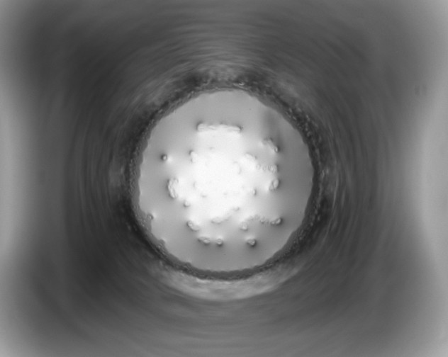 X0000086780034200704271819