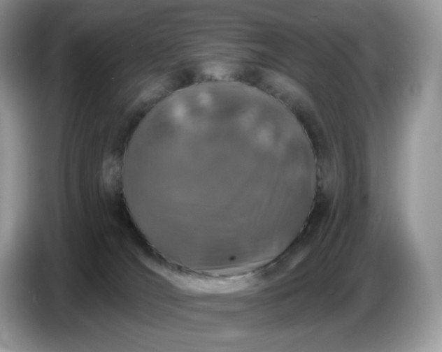 X0000086780036200704271819