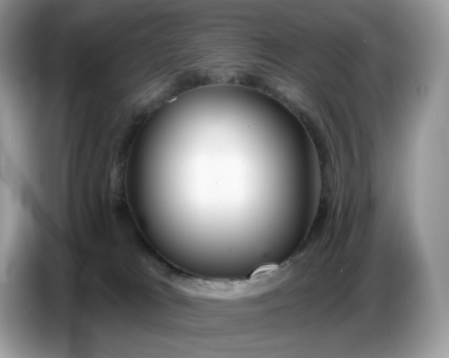 X0000086780037200704271819