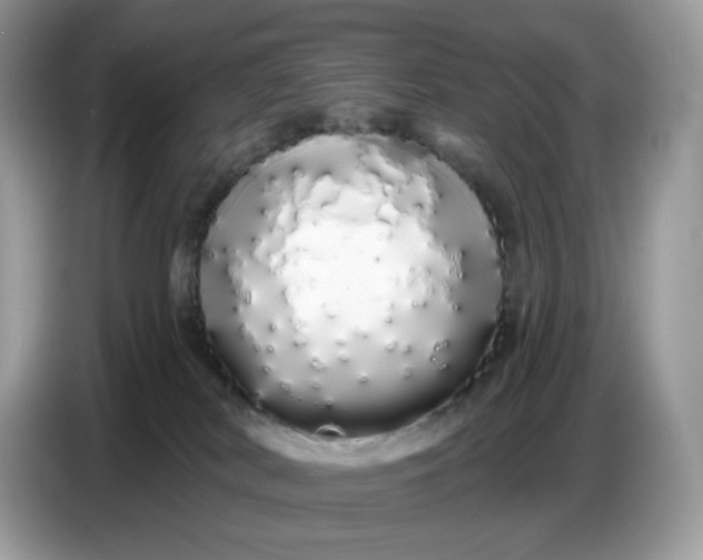 X0000086780038200704271819