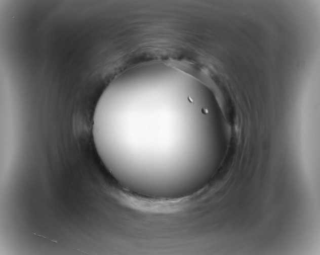 X0000086780040200704271819