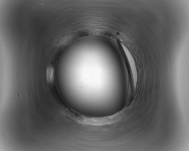 X0000086780041200704271819