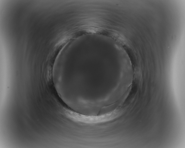 X0000086780043200704271819