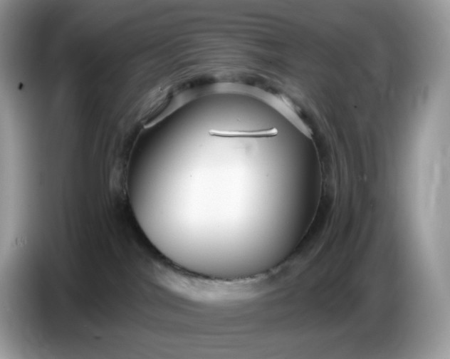 X0000086780044200704271819