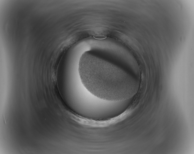 X0000086780048200704271818