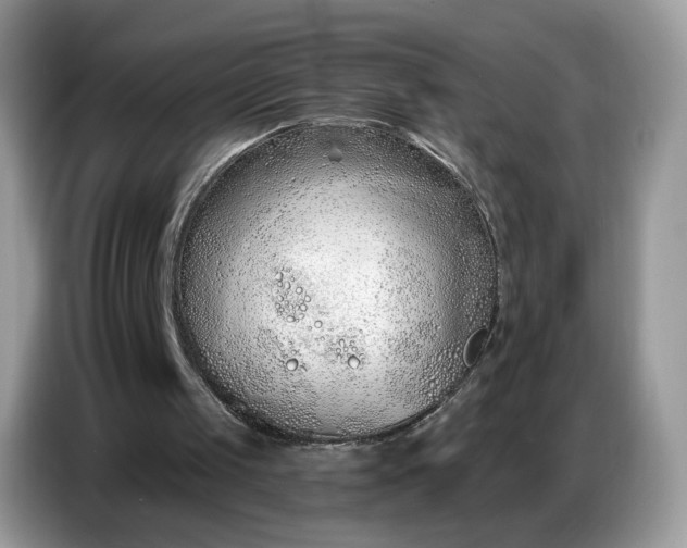 X0000086780049200704271818