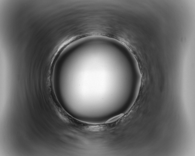 X0000086780050200704271818