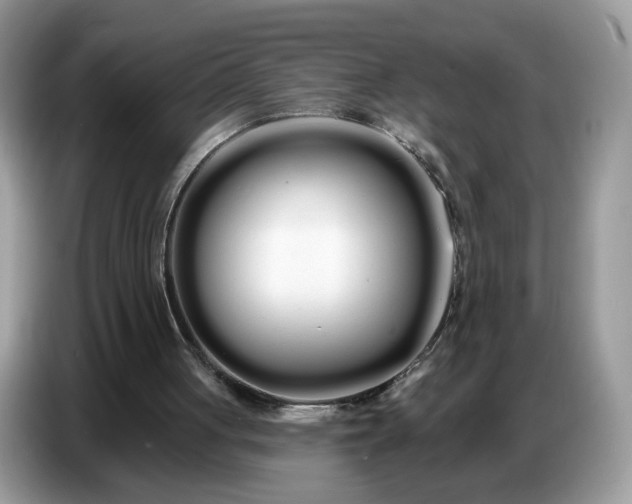 X0000086780051200704271818