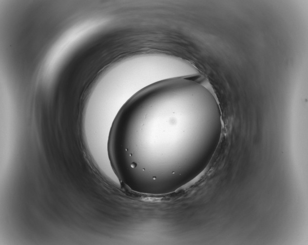 X0000086780052200704271818