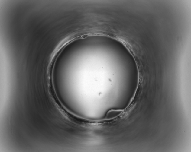 X0000086780053200704271818