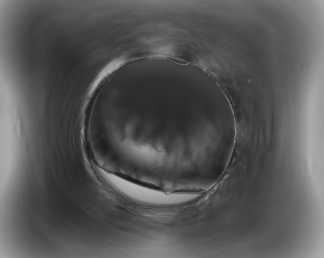 X0000086780054200704271818