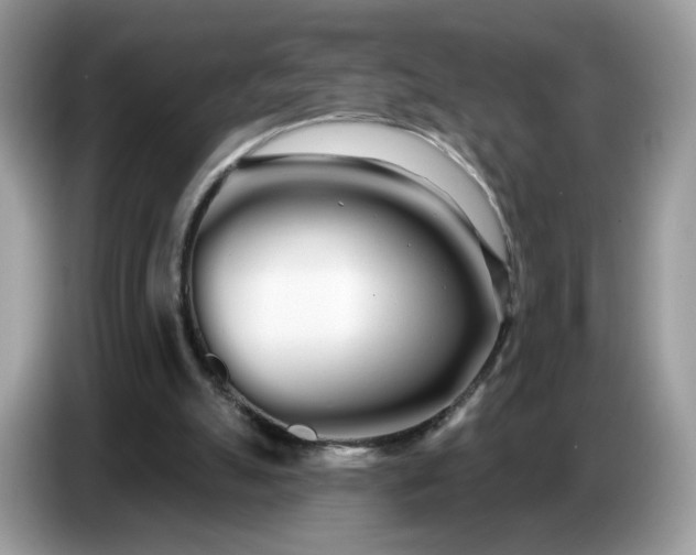 X0000086780055200704271818