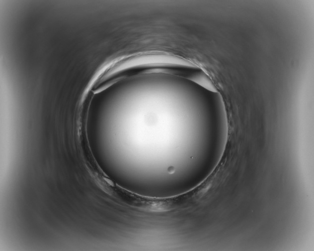 X0000086780056200704271818