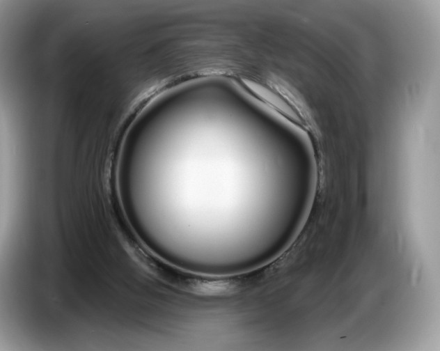 X0000086780058200704271818