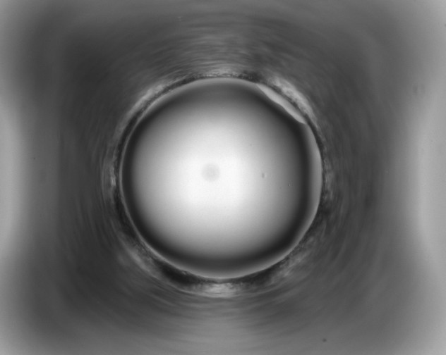 X0000086780059200704271818