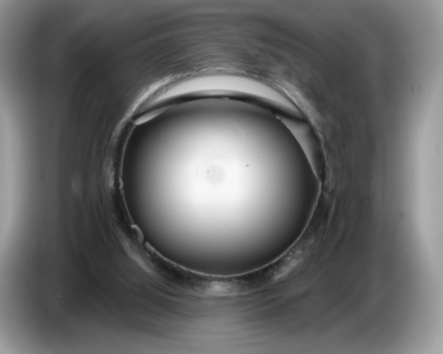 X0000086780060200704271818