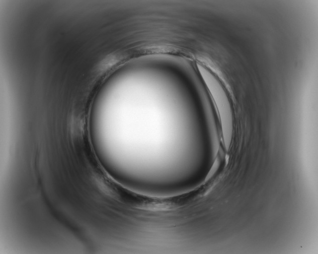 X0000086780063200704271818