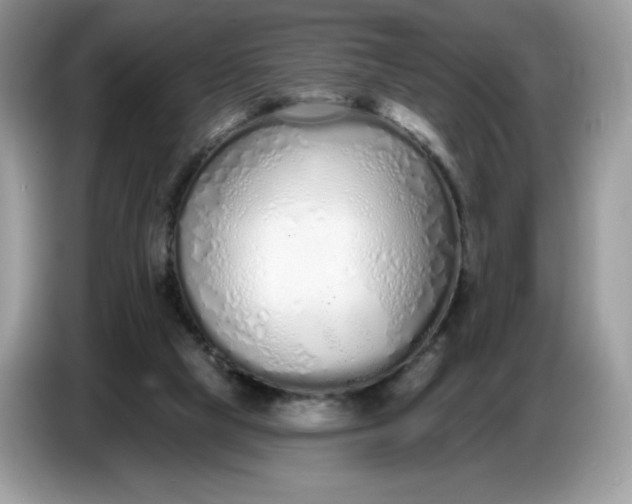 X0000086780065200704271818