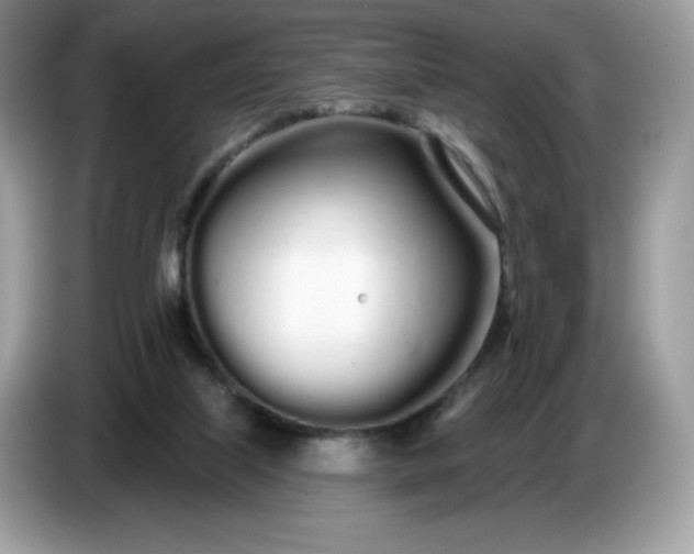 X0000086780067200704271818