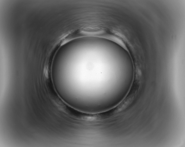 X0000086780068200704271818