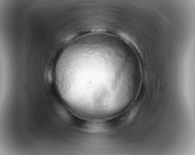 X0000086780069200704271818