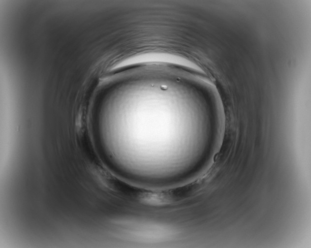 X0000086780074200704271818