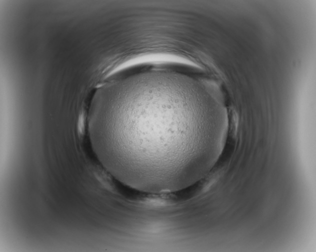 X0000086780076200704271818