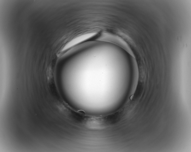 X0000086780077200704271818