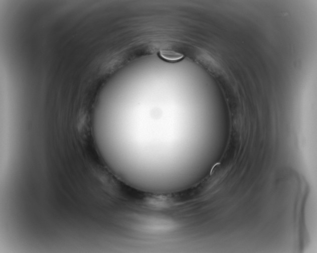 X0000086780079200704271818