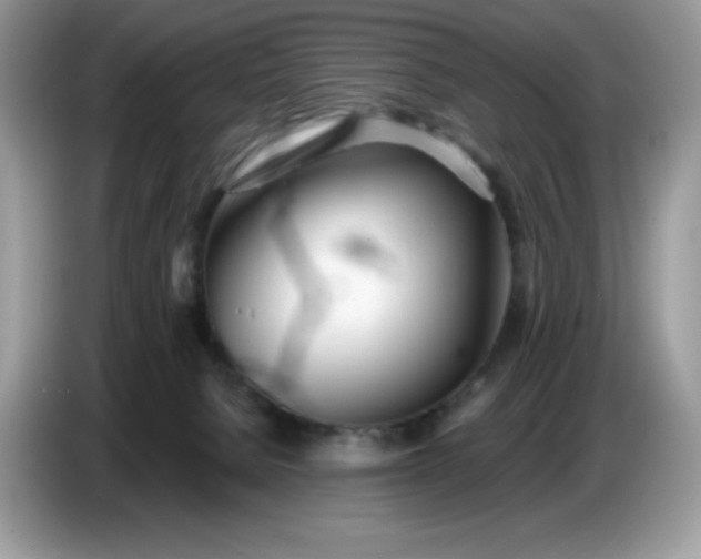 X0000086780080200704271818