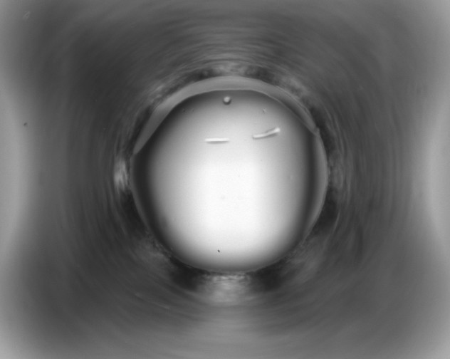 X0000086780089200704271818