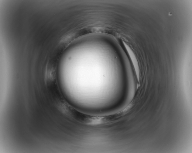 X0000086780090200704271818