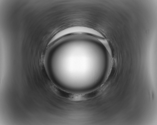 X0000086780093200704271818