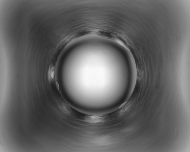 X0000086780095200704271818