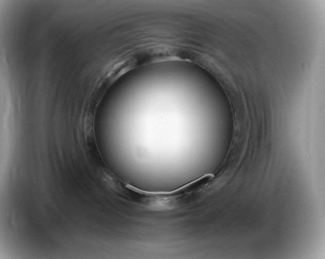 X0000086780096200704271818