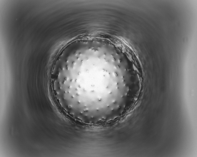 X0000086780097200704271818