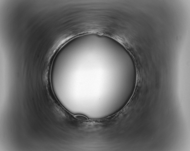 X0000086780098200704271818