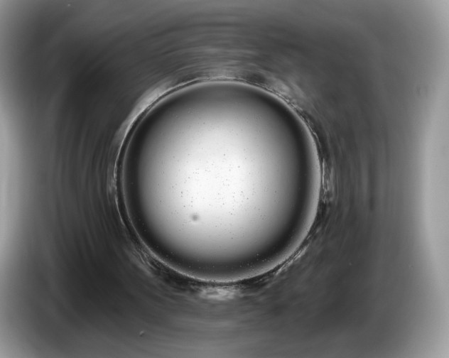 X0000086780099200704271818