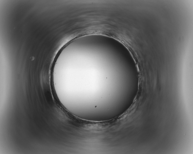 X0000086780100200704271818