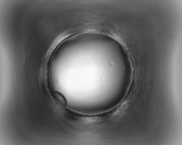 X0000086780103200704271818