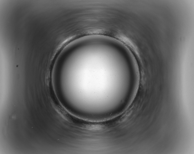 X0000086780107200704271818