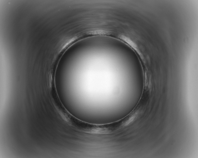 X0000086780109200704271818