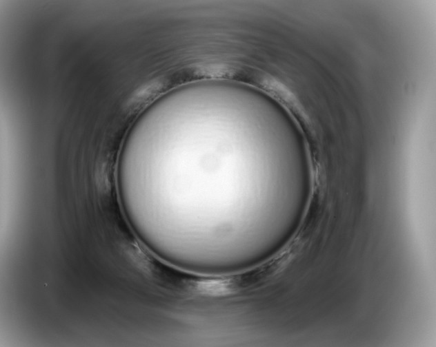 X0000086780114200704271818