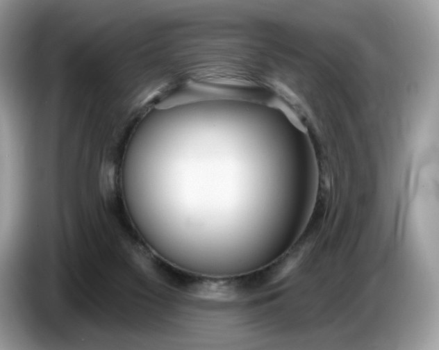 X0000086780117200704271818