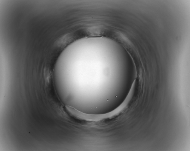 X0000086780125200704271817