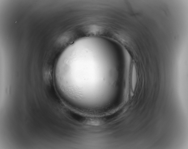 X0000086780127200704271817