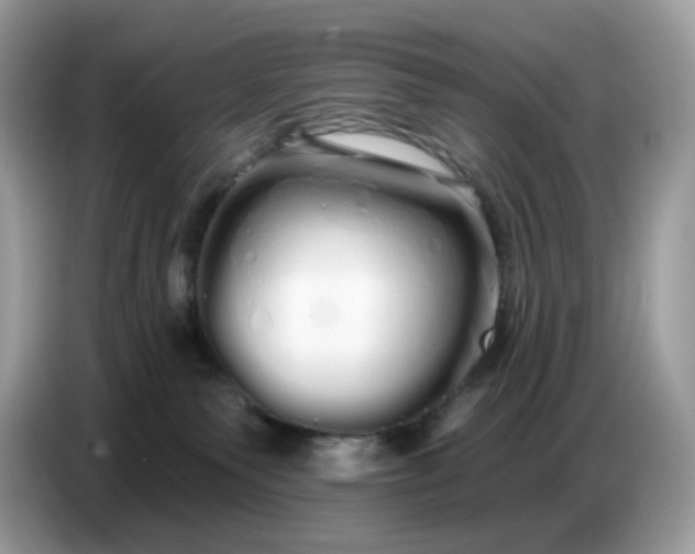 X0000086780135200704271817