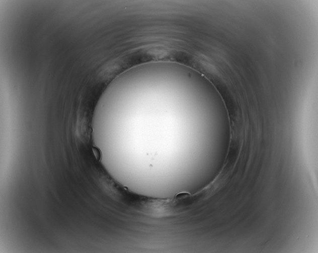 X0000086780136200704271817